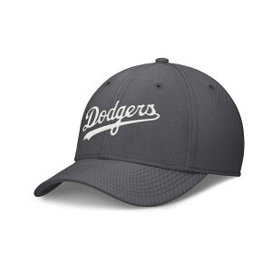 iCL Y Xq ANZT[ Men's Gray Los Angeles Dodgers Swoosh Performance Flex Hat Gray