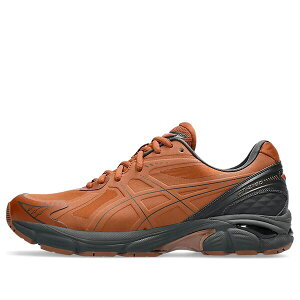 ASICS �A�V�b�N�X �����Y �X�j�[�J�[ �yASICS GT-2160 NS 'Rusty Brown' 1203A375-200�z �T�C�Y US_12(30.0cm)