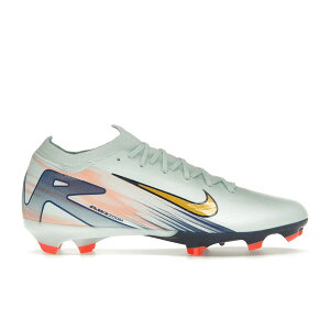Nike �i�C�L �����Y �X�j�[�J�[ �yNike Zoom Mercurial Vapor 16 Pro FG Dream Speed Pack�z �T�C�Y US_10(28.0cm) Barely Green/Crimson Pulse/Metallic Gold Coin
