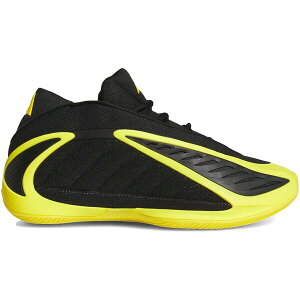 adidas �A�f�B�_�X �����Y �X�j�[�J�[ �yadidas AE 2 Bruce Lee�z �T�C�Y US_9(27.0cm) Core Black/Yellow/Core Black