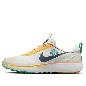 Nike �i�C�L �����Y �X�j�[�J�[ �yNike Infinity Ace Next Nature NRG 'Always Fresh' DX7435-007�z �T�C�Y US_M_15