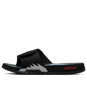 Air Jordan W[_ Y Xj[J[ yAir Jordan Hydro 5 Slides 'Metallic' 555501-061z TCY US_M_15