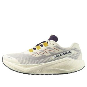 SALOMON �T������ �����Y �X�j�[�J�[ �ySALOMON Aero Blaze 3 GRVL Gore-Tex 'Vanilla Ice' 479532�z �T�C�Y US_12(30.0cm)