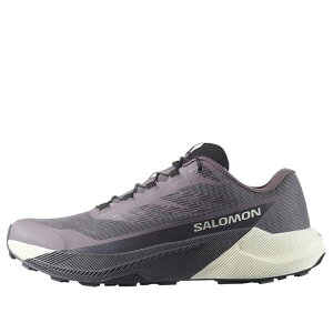 SALOMON �T������ ���f�B�[�X �X�j�[�J�[ �y(WMNS) SALOMON Pulsar 'Excalibur Vanilla Ice' 479755�z �T�C�Y US_6.5(23.5cm)