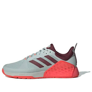 adidas AfB_X Y Xj[J[ yadidas Dropset 2 Trainer 'Wonder Silver Red' IF9907z TCY US_10(28.0cm)