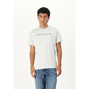 g~[qtBK[ Y T_ V[Y LINEAR LOGO TEE - Print T-shirt - silver grey