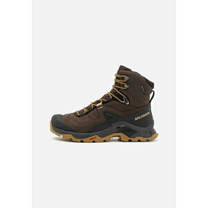 T Y nCLO X|[c QUEST ELEMENT GORE TEX - Hiking shoes - delicioso/black/dull gold