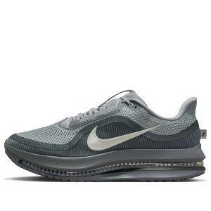 Nike �i�C�L �����Y �X�j�[�J�[ �yNike Pegasus Premium 'Wolf Grey' HQ2592-013�z �T�C�Y US_M_13