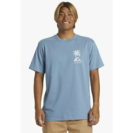 クイックシルバー メンズ Tシャツ トップス Print T-shirt - bkq