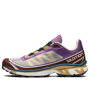 SALOMON �T������ �����Y �X�j�[�J�[ purple �ySalomon XT-6 Ft 'Grey Purple Brown' 414706�z �T�C�Y US_10(28.0cm)