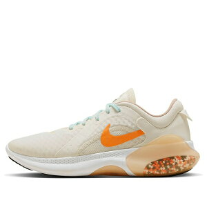 Nike �i�C�L �����Y �X�j�[�J�[ �yNike Joyride Dual Run 2 'Cream Orange' FQ6856-181�z �T�C�Y US_11(29.0cm)
