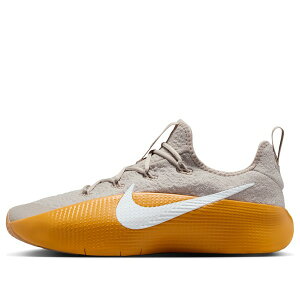 Nike �i�C�L �����Y �X�j�[�J�[ ���u���� �yNike LeBron TR 1 'Cream Gold Leaf White' FJ6151-202�z �T�C�Y US_8(26.0cm)