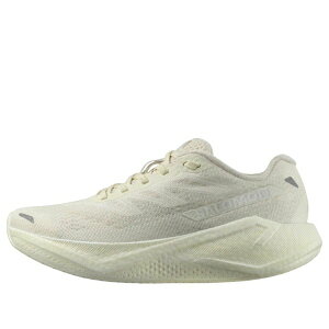 SALOMON �T������ ���f�B�[�X �X�j�[�J�[ �y(WMNS) Salomon Aero Blaze 3 'Vanilla Ice White' 478748�z �T�C�Y US_6(23.0cm)