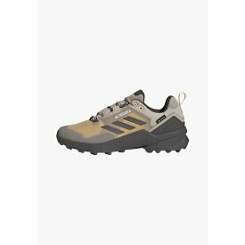 アディダス テレックス メンズ ブーツ シューズ SWIFT R3 GORE-TEX - Hiking shoes - beige charcoal semi spark