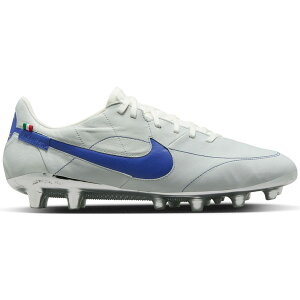 Nike iCL Y Xj[J[ yNike Tiempo Legend 9 Elite MI AG Montebelluna Leather White Game Royalz TCY US_7(25.0cm) White/Metallic Silver/Game Royal