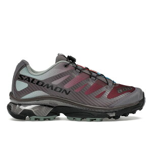 Salomon �T������ �����Y �X�j�[�J�[ �ySalomon XT-4 OG Excalibur�z �T�C�Y US_12(30.0cm) Excalibur/Green Milieu/Tawny Port