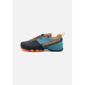 ダイナフィット メンズ バスケットボール スポーツ TRANSALPER GTX - Hiking shoes - blueberry/storm blue