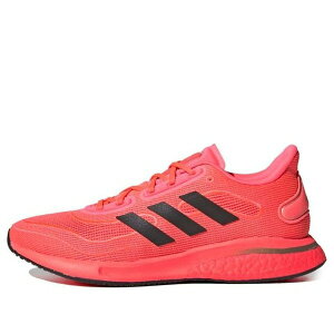 adidas �A�f�B�_�X ���f�B�[�X �X�j�[�J�[ Red/Black �y(WMNS) adidas Supernova 'Signal Pink' FW0704�z �T�C�Y US_5(22.0cm)