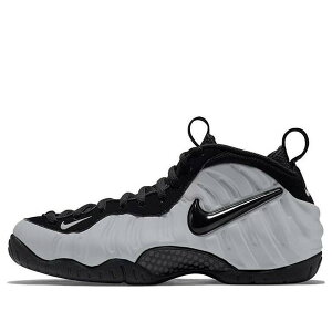 Nike �i�C�L �����Y �X�j�[�J�[ �yNike Air Foamposite Pro 'Wolf Grey' HF0794-001�z �T�C�Y US_11(29.0cm)