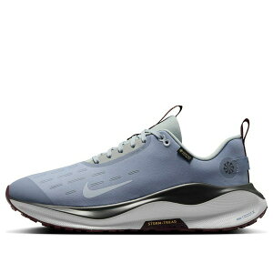 Nike �i�C�L �����Y �X�j�[�J�[ �yNike React Infinity Run 4 Gore-Tex 'Ashen Slate Football Grey' HQ0265-400�z �T�C�Y US_10.5(28.5cm)