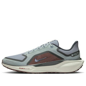 Nike �i�C�L �����Y �X�j�[�J�[ �yNike Air Zoom Pegasus 41 Gore-Tex 'Light Pumice Ashen Slate Burgundy' FQ1356-003�z �T�C�Y US_6(24.0cm)