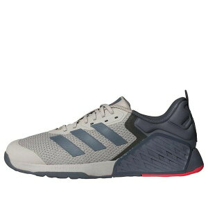 adidas �A�f�B�_�X �����Y �X�j�[�J�[ �yadidas Dropset 3 'Wonder Alumina Onix Lucid Red' JI3901�z �T�C�Y US_5.5(23.5cm)