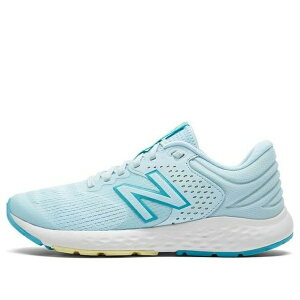 New Balance �j���[�o�����X ���f�B�[�X �X�j�[�J�[ �y(WMNS) New Balance 520 Series For Blue W520LY7�z �T�C�Y US_6.5(23.5cm)