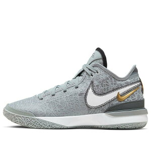 Nike �i�C�L �����Y �X�j�[�J�[ �yNike Zoom LeBron Nxxt Gen EP 'Wolf Grey Metallic Gold' DR8788-004�z �T�C�Y US_5.5(23.5cm)