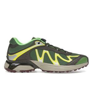 Salomon �T������ �����Y �X�j�[�J�[ �ySalomon XT-Whisper Treetop Sulphur�z �T�C�Y US_7.5(25.5cm) Treetop/Wren/Sulphur Spring