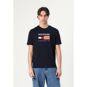 g~[ qtBK[ Y T_ V[Y AMERICANA MONOTYPE FLAG BOX TEE UNISEX - Print T-shirt - desert sky