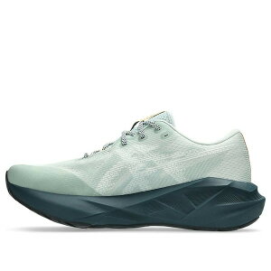 ASICS �A�V�b�N�X �����Y �X�j�[�J�[ �yASICS Novablast 5 TR 'Nature Bathing Lichen Rock' 1011C138-300�z �T�C�Y US_M_13