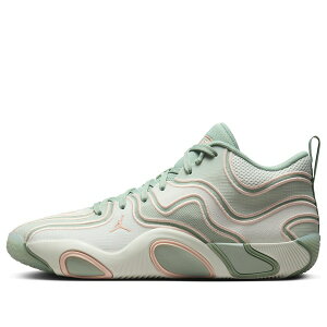 Jordan �W���[�_�� �����Y �X�j�[�J�[ �yAir Jordan Tatum 3 PF 'Zero Days Off' FZ6601-002�z �T�C�Y US_7(25.0cm)