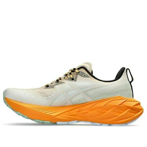 ASICS �A�V�b�N�X �����Y �X�j�[�J�[ �yASICS Novablast 4 TR 'Nature Bathing Fellow Yellow Orange' 1011B850-250�z �T�C�Y US_10.5(28.5cm)