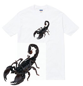 SCORPION tシャツ スコーピオン 蠍 サソリ 昆虫 虫 インセクト scorpion 甲虫 メンズ レディース ストリート hiphop ブランド tee Tシャツ