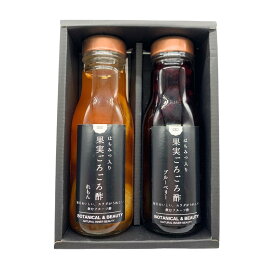 果実ごろごろ酢　2本セット　果実酢　フルーツ酢　ギフト　父の日　お中元　誕生日　誕プレ　ギフト　飲む酢　ビネガードリンク レモン　ブルーベリー　敬老の日