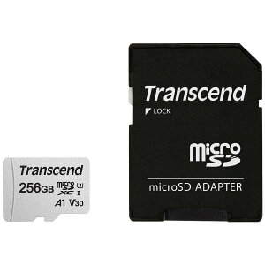 Transcend gZhWp }CNSDXCJ[h USD300S 256GB TS256GUSD300S-A