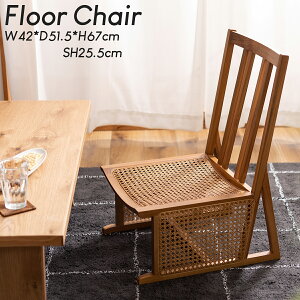 tA`FA ֎q `[N 42cm ؐ VR ^  ^`FA ֎q tA `FA[ RpNg CX `FA rO`FA bNX`FA ܂肽 e[N ݑΖ 