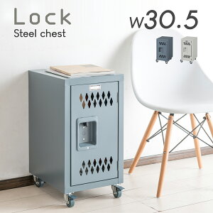 Lrlbg `FXg Ԏ[ 30.5cm I  X  O[ AC{[ Ƌ  Tj^[ It ܎[ ʑ䉡 h[ Lb` rO az-tpn-40