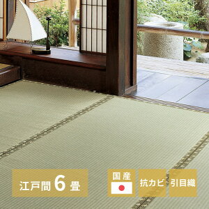 J[ybg  J[ybg ~ Y  ]ˊ 6 261×352cm ڐD Jo[ RJr l  o[Vu Q O Jo[ hg1-kohakued6