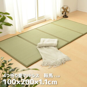 4܂ }bgX   u 100×200×1.1cm }bg O O[  ߂ ܂肽߂ RpNg NbV rO Vv 񂽂 VRf  O ~ a