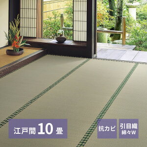 �����J�[�y�b�g �J�[�y�b�g �������O ��~�� ���� �]�ˊ� 10�� 352×440cm �� ���ڐD ��J�o�[ �R�J�r �l���� ���� ���o�[�V�u�� �Q���� ���O �J�o�[ �O���[�� �a�� �a�� ���r���O �_�C�j���O �Q