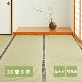 【ポイント5倍＆クーポン使用で5％OFF】 い草カーペット カーペット 上敷き い草 36間 6帖 273×364cm 引目織 畳カバー 抗カビ 四方縁 調湿 リバーシブル 寝ござ ラグ カバー hg1-tanigawa366