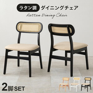 _CjO`FA 2_Zbg `FA ^  46.5cm _CjOZbg CX ֎q H NbV ؐ VR fXN  Vv ؖ i` zCg ubN e[N ׋ hg