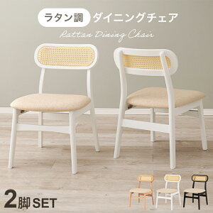 _CjO`FA 2_Zbg `FA ^  46.5cm _CjOZbg CX ֎q H NbV ؐ VR fXN  Vv ؖ i` zCg ubN e[N ׋ hg