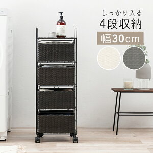 `FXg h[ Ԏ[ h[`FXg ʏ 30cm LX^[t  X  _[NuE O[ zCg Ƌ ԃTj^[ ܎[ ʑ䉡 h[ L