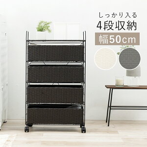 `FXg h[ Ԏ[ h[`FXg ʏ 50cm 4i  ^ LX^[t  X  _[NuE O[ zCg ubN Ƌ ԃTj^[ 