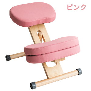 v|[V`FALbY LbY֎q CX ֎q `FA  fXN`FA ߋ@\ iK wK֎q ⏕NbV LX^[t RpNg 48.5cm mt-ch-889