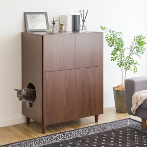 LgCN[[bg [ Lrlbg gC L 75cm I  ؖڒ  Vv ؖ ʏ [ Ƌ uE i` zCg Ƌ Tj^[ pg[ 