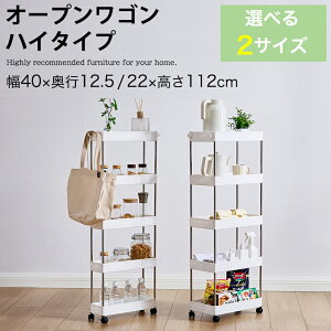 y20%OFFN[|z LX^[t SbN X 40cm 112cm Lb` 䏊 RpNg Lb`S I[vS Ԏ[ Ԏ[  Lb`[ zCg 