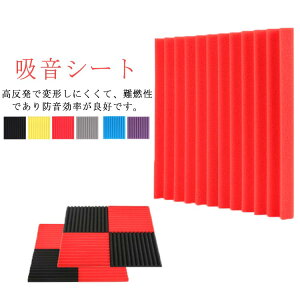 x z 12 30x30x2.5cm   h z΍  y 2.5cm sAm J[I[fBI R[fBOX^WI z[VA^[ S6F